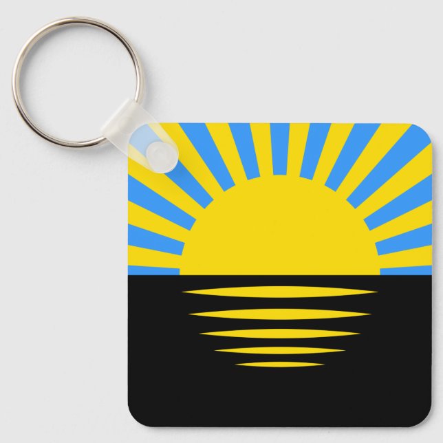 Porte-clés Flag of Donetsk Oblast (Recto)