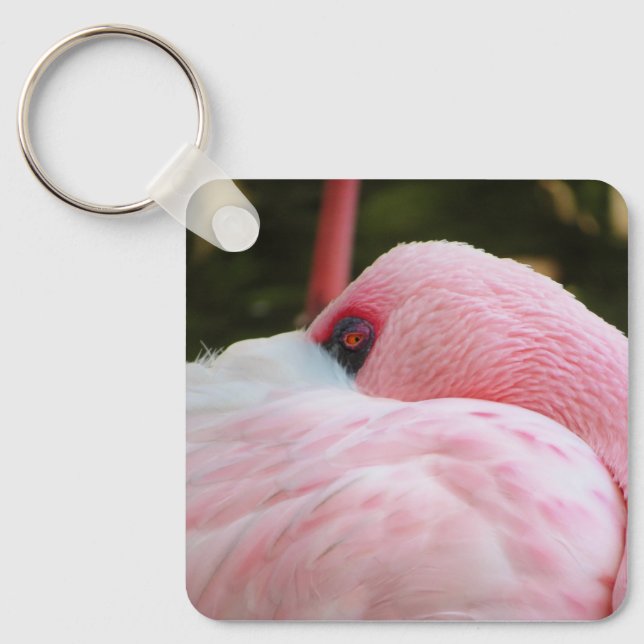 Porte-clés Flamant rose (Recto)