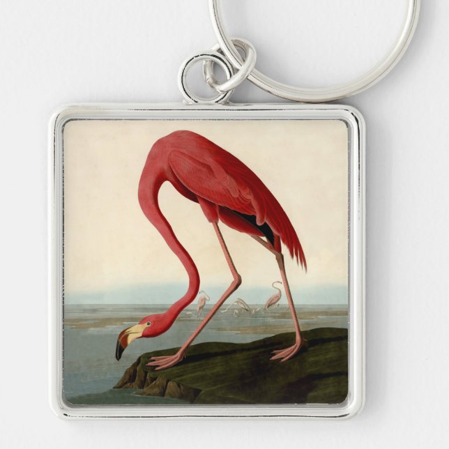 Porte-clés Flamant rose américain Audubon (Devant)