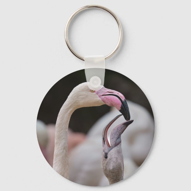 Porte-clés Flamant rose Mère Et Bébé (Recto)