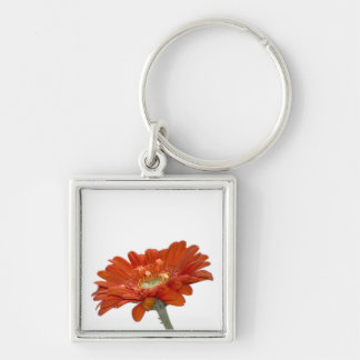 Porte-clés Fleur de Gerbera de marguerite orange