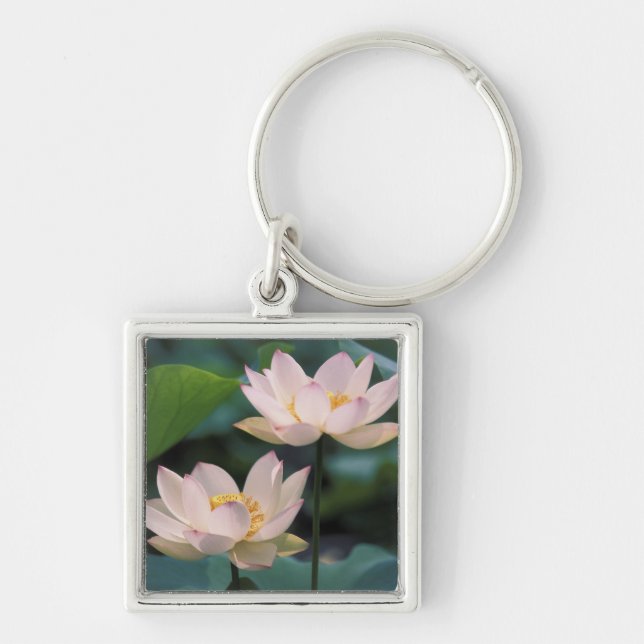 Porte-clés Fleur de lotus en fleurs, Chine (Devant)