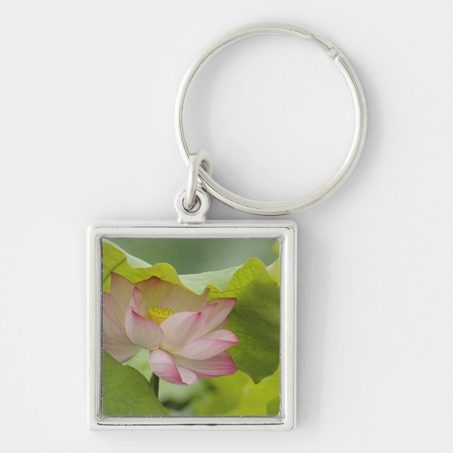 Porte-clés Fleur de lotus, Nelumbo nucifera, Chine (Devant)