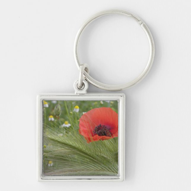Porte-clés Fleur de pavot rouge, Toscane, Italie (Devant)