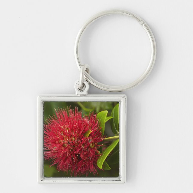 Porte-clés Fleur de Pohutukawa, Dunedin (Devant)