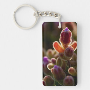 Porte-clés Fleur de succulente colorée en contre-jour avec bo