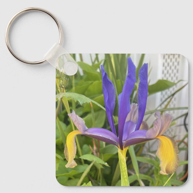 Porte-clés Fleur d'Iris violet extérieur Jardin Nature Photo (Recto)