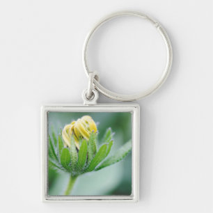 Porte-clés Fleur Ouverte De Cone Flower