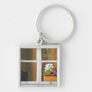Porte-clés Fleur près de la fenêtre, Sighisoara, Roumanie