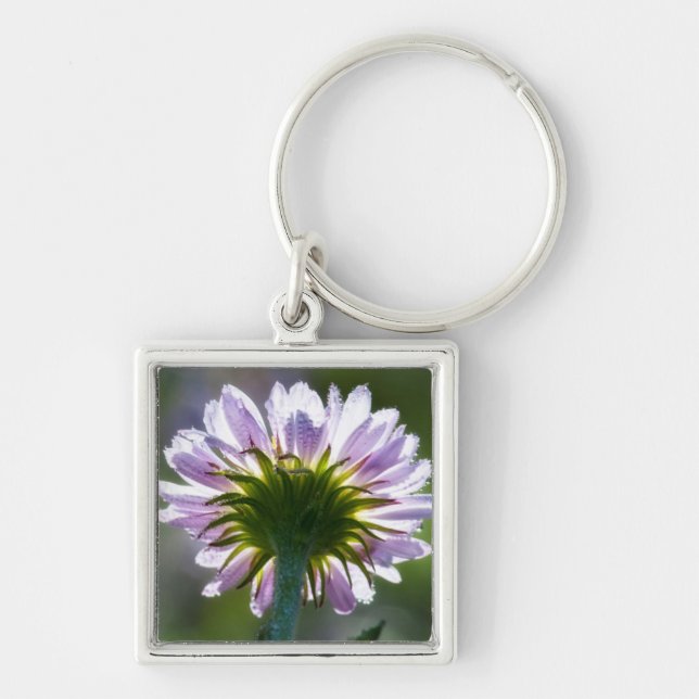 Porte-clés Fleur sauvage violette rétro-éclairée avec gouttel (Devant)