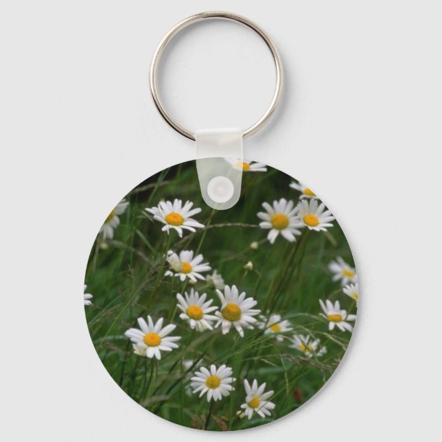 Porte-clés fleurs de marguerite blanc Oxeye (Recto)