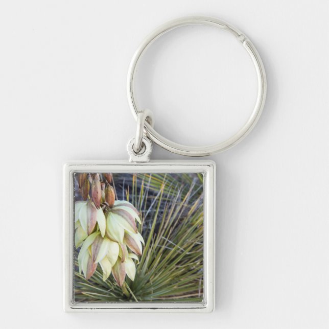 Porte-clés Fleurs de Yucca elata sur le Haut Missouri (Devant)