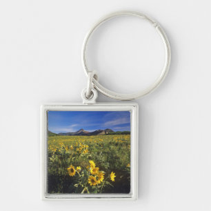 Porte-clés Fleurs sauvages de balsamroot à feuilles sagittées