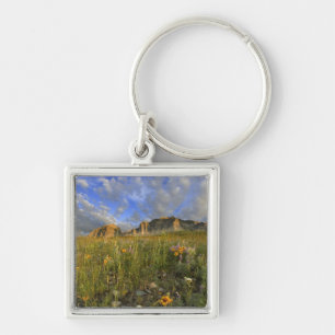 Porte-clés Fleurs sauvages de la prairie à Windy Creek dans l