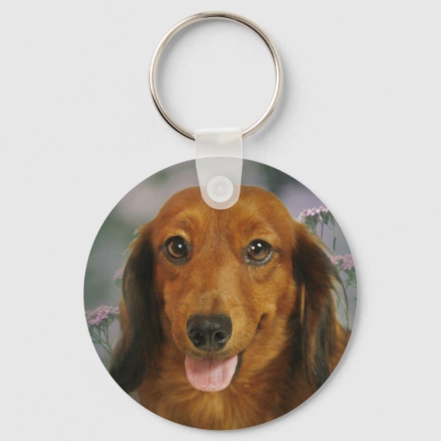 Porte-clés Fleurs sauvages mignonnes Dachshund (Brown Long Ha (Recto)