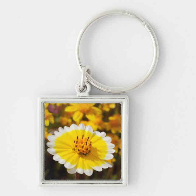 Porte-clés Fleurs sauvages Tidy Tip (Devant)