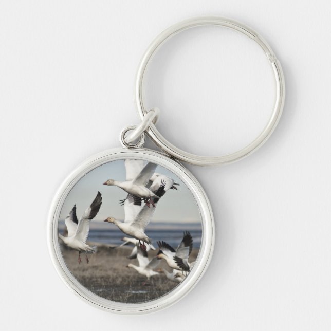 Porte-clés Flying Snow Geese (Devant)