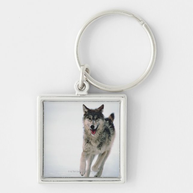 Porte-clés Fonctionnement de loup gris (Devant)