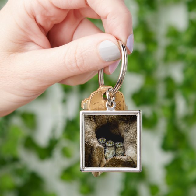 Porte-clés Forests | Three Owls Looking (main)