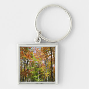 Porte-clés Forêt d'automne II Photographie de paysage automna