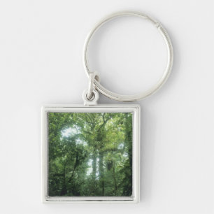 Porte-clés Forêt nuageuse de Monteverde, Costa Rica.