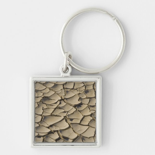 Porte-clés Formation de boue craquée dans le plancher de la v (Devant)