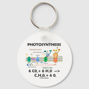 Porte-clés Formule de photosynthèse (produit chimique)