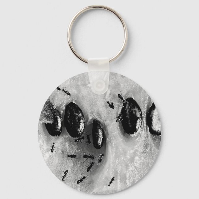 Porte-clés fourmis faisant du surf (Recto)