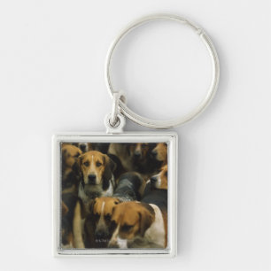 Porte-clés Fox-hounds de chasse, blazers de Galway, Irlande