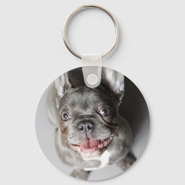 Porte-clés Französische Bulldogge (Recto)