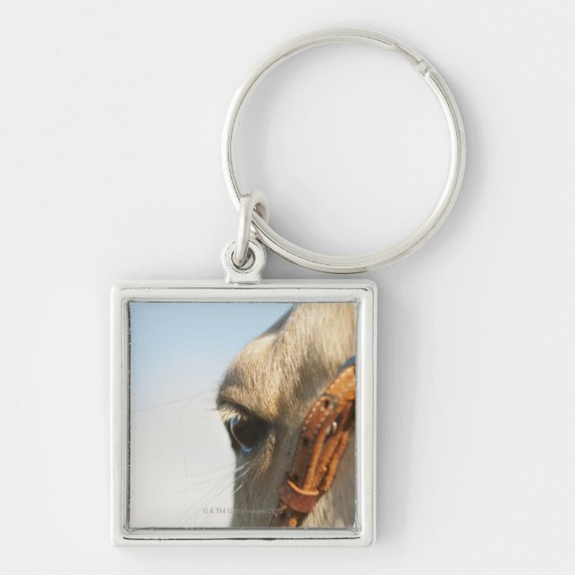 Porte-clés Frein de cheval (Devant)
