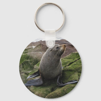 Porte-clés Fur Seal