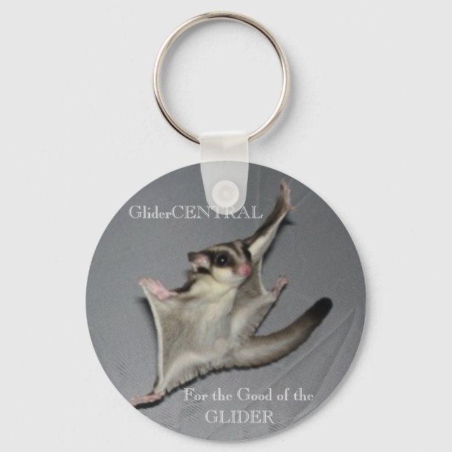 Porte-clés FURBYnGIZMO (Recto)