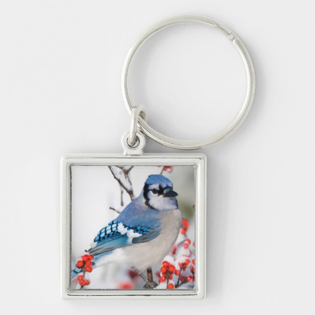Porte-clés Geai bleu dans l'Ilex verticillé (Devant)