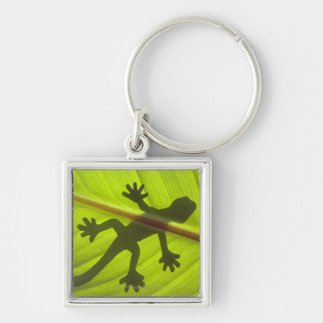 Porte-clés Gecko (Devant)