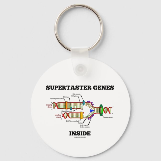 Porte-clés Gènes supertaster à l'intérieur (réplication de l' (Recto)