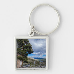 Porte-clés Genévrier de la Sierra et arbres à feuilles persis