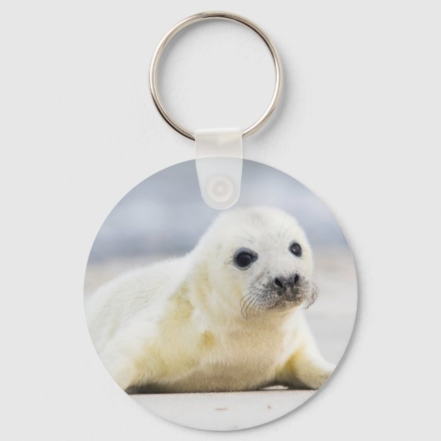 Porte-clés Getty Images | Baby Seal (Recto)