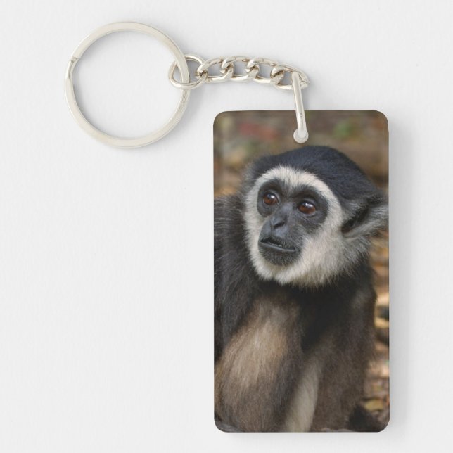 Porte-clés Gibbon à mains blanches (Hylobates Lar), Monkeylan (Devant)