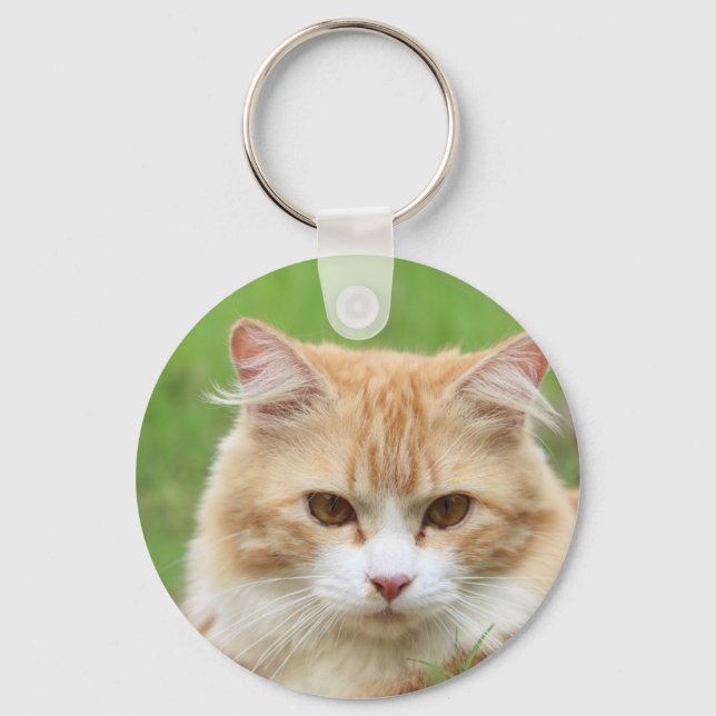 Porte-clés Gingembre et chat blanc, tellement mignon ! (Recto)