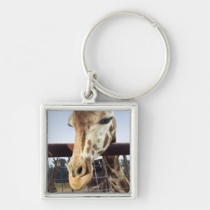 Porte-clés Girafe