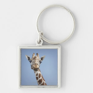 Porte-clés Girafe 2