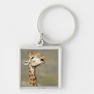 Porte-clés Girafe africaine du sud (camelopardalis de Giraffa