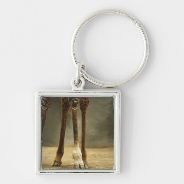 Porte-clés Girafe de masai, vue d'angle faible des jambes, (Devant)