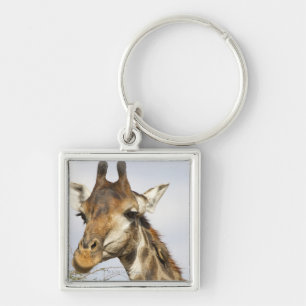 Porte-clés Girafe, parc national de Kruger, Afrique du Sud