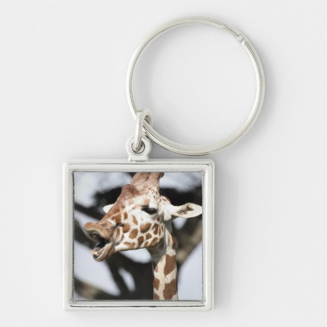 Porte-clés Girafe réticulée au visage drôle, San Francisco (Devant)