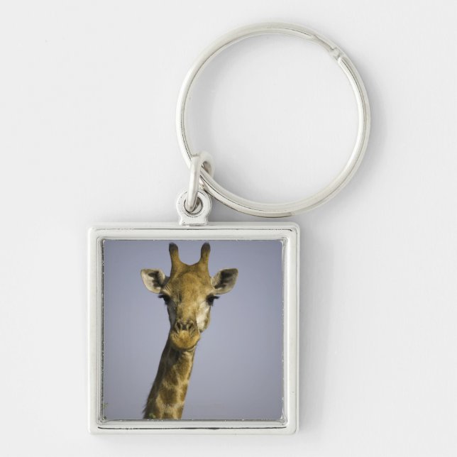 Porte-clés Giraffa Camelopardalis (Devant)