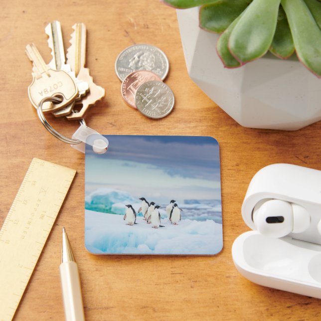 Porte-clés Glace et neige | Adelie Penguins Antarctique (Bureau)