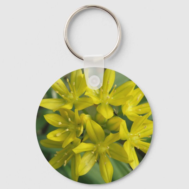 Porte-clés Glory Of The Snow Keychain (Recto)