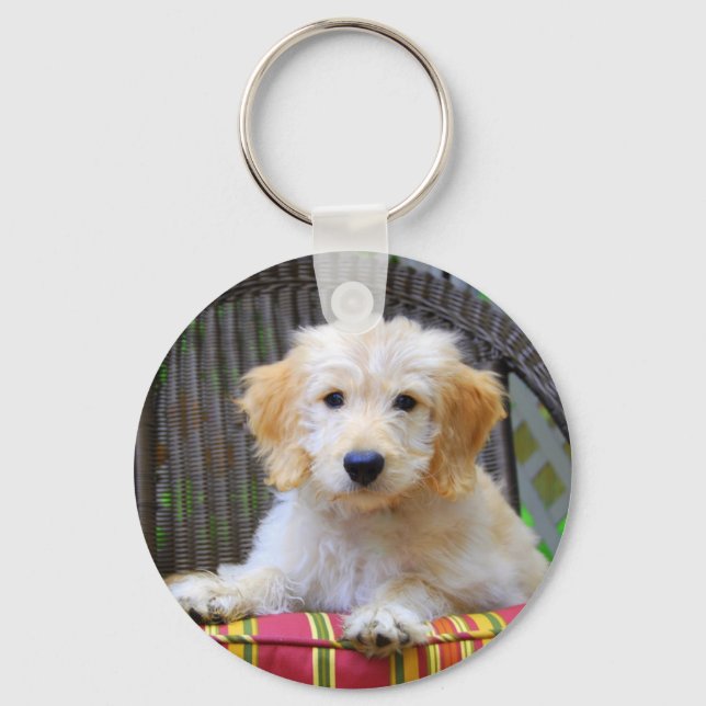 Porte-clés Golden Doodle Porte - clé chiot (Recto)